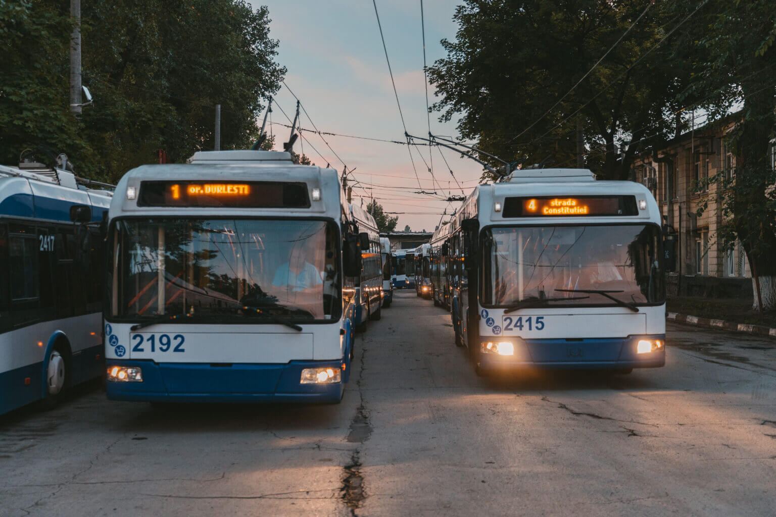 7Y8A6749